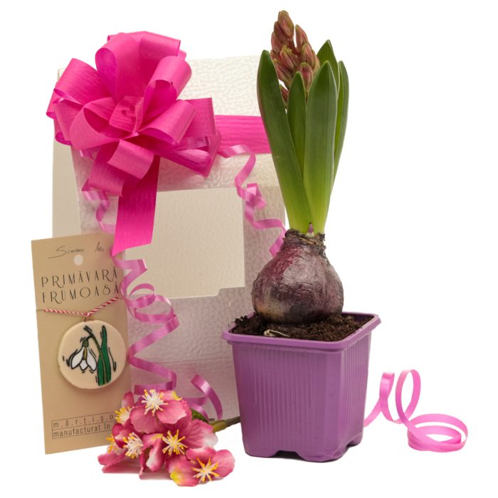 Pachet cadou 25MAR4 - FLOWER
